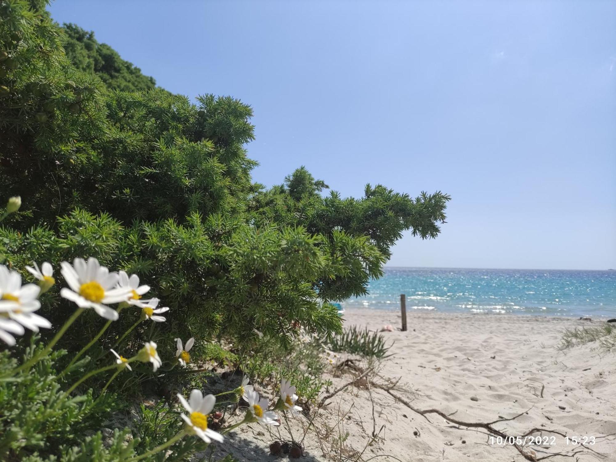 La Perla E Il Corallo * Alghero